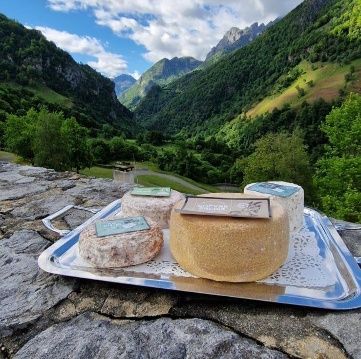 Chateau D'Arance Hotel Restaurant Espace Bien-Etre Cette-Eygun Екстериор снимка